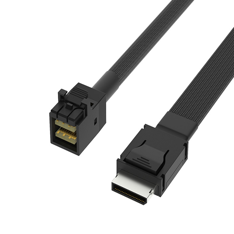 Mini SAS  SFF-8611 to SFF-8643 Oculink Cable